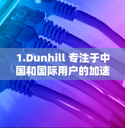 1.Dunhill 专注于中国和国际用户的加速服务,提供海外加速选项