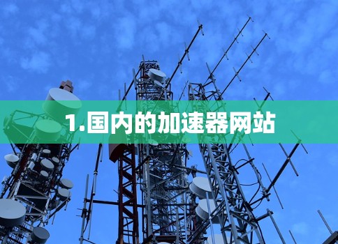 1.国内的加速器网站