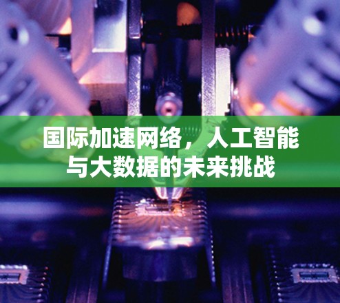 国际加速网络，人工智能与大数据的未来挑战