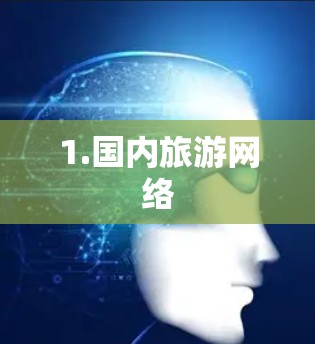 1.国内旅游网络