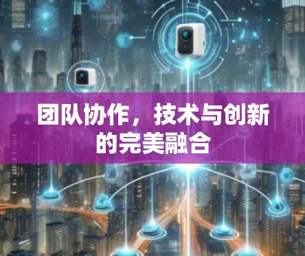 团队协作,技术与创新的完美融合