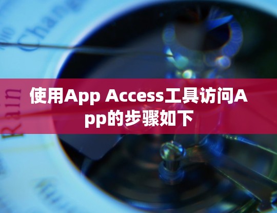 使用App Access工具访问App的步骤如下