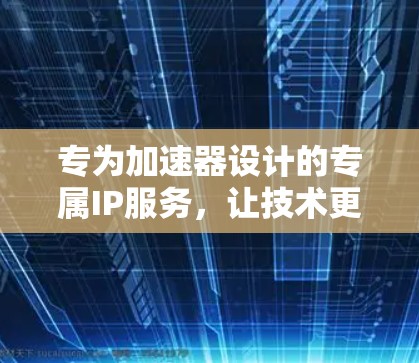 专为加速器设计的专属IP服务,让技术更上一层楼