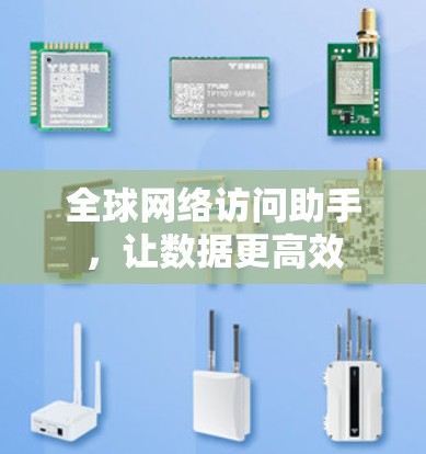全球网络访问助手，让数据更高效