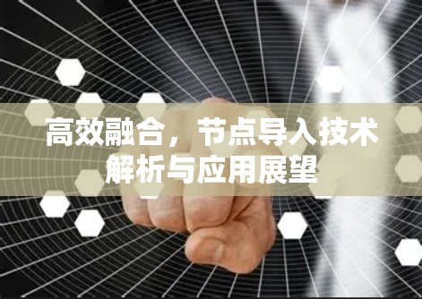 高效融合,节点导入技术解析与应用展望