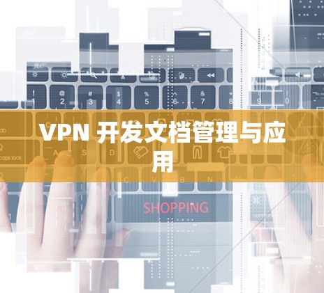 VPN 开发文档管理与应用