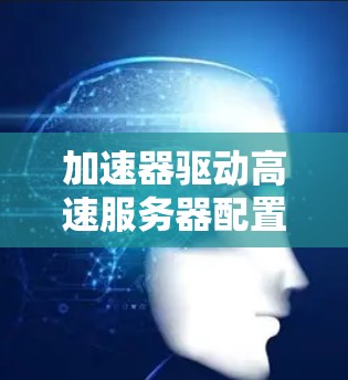 加速器驱动高速服务器配置，技术要点与实施方案