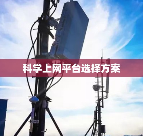 科学上网平台选择方案