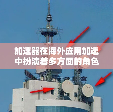加速器在海外应用加速中扮演着多方面的角色，不仅推动了科学研究和技术创新，还促进了国际合作、人才培养和经济发展。以下是对这一过程的详细分析