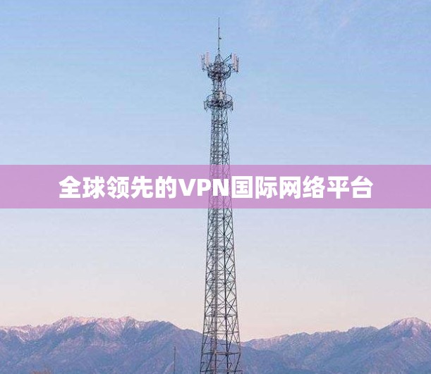 全球领先的VPN国际网络平台