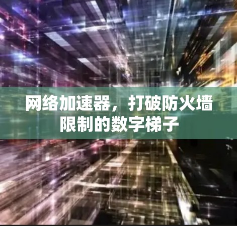 网络加速器，打破防火墙限制的数字梯子