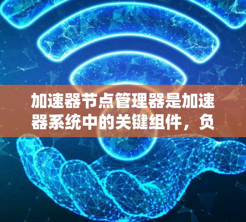 加速器节点管理器是加速器系统中的关键组件，负责管理和优化加速器节点的资源分配和性能。以下是对加速器节点管理器的详细分析