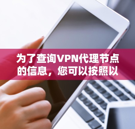 为了查询VPN代理节点的信息，您可以按照以下步骤进行