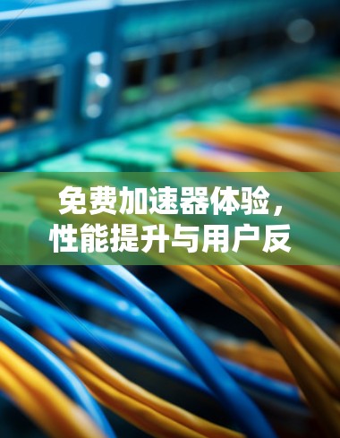 免费加速器体验，性能提升与用户反馈分析