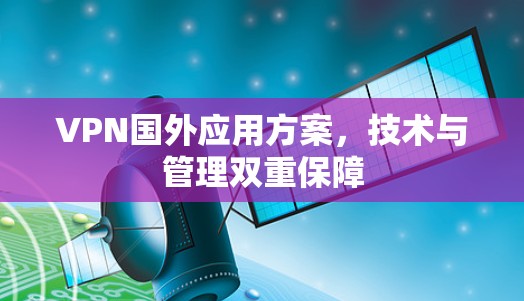 VPN国外应用方案,技术与管理双重保障 VPN国外应用方案,技术与管理双重保障