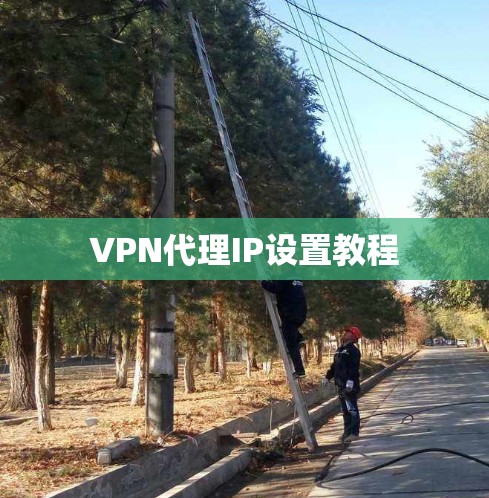VPN代理IP设置教程
