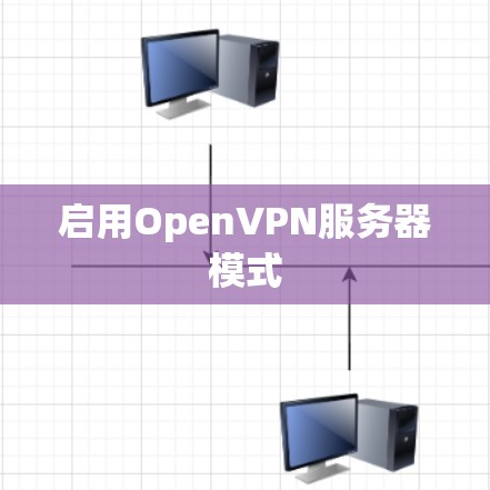 启用OpenVPN服务器模式