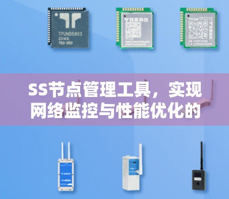 SS节点管理工具，实现网络监控与性能优化的关键技术