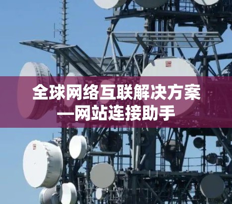 全球网络互联解决方案—网站连接助手 全球网络互联解决方案—网站连接助手