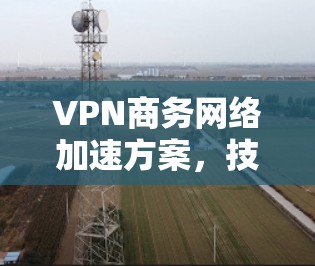 VPN商务网络加速方案，技术实现与应用分析
