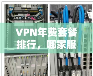 VPN年费套餐排行，哪家服务最值？