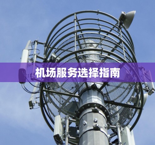 机场服务选择指南