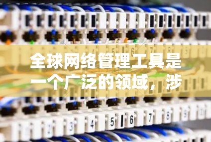 全球网络管理工具是一个广泛的领域，涉及到跨国企业、网络安全、云计算、容器化、数据分析等多个方面。以下是一些常见的全球网络管理工具和技术