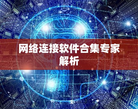 网络连接软件合集专家解析