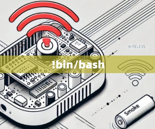 !bin/bash !bin/bash