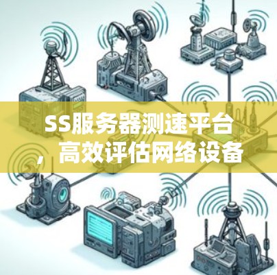SS服务器测速平台，高效评估网络设备性能