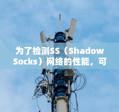 为了检测SS（ShadowSocks）网络的性能，可以从以下几个方面进行检查和分析