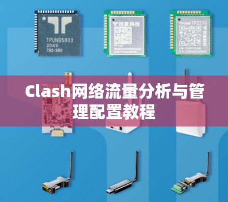 Clash网络流量分析与管理配置教程