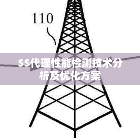 SS代理性能检测技术分析及优化方案