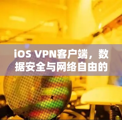 iOS VPN客户端，数据安全与网络自由的双重保障