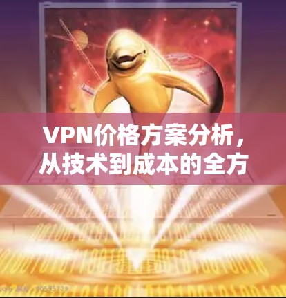 VPN价格方案分析，从技术到成本的全方位解读