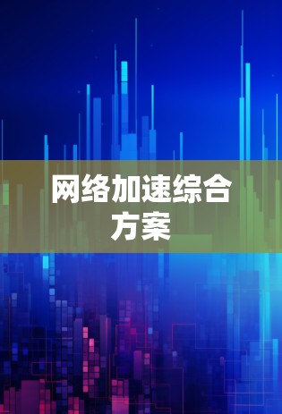 网络加速综合方案