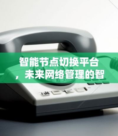 智能节点切换平台，未来网络管理的智能化解决方案