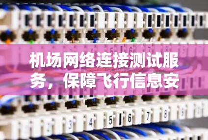 机场网络连接测试服务，保障飞行信息安全