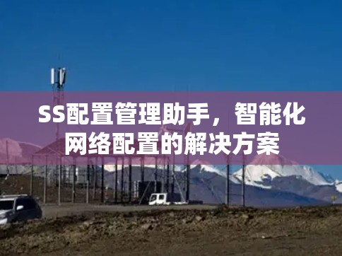 SS配置管理助手，智能化网络配置的解决方案