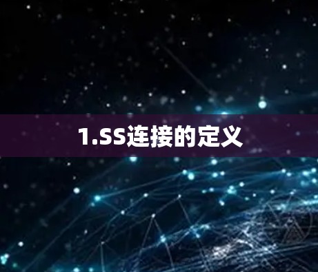 1.SS连接的定义