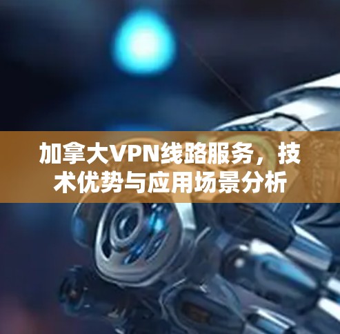加拿大VPN线路服务，技术优势与应用场景分析